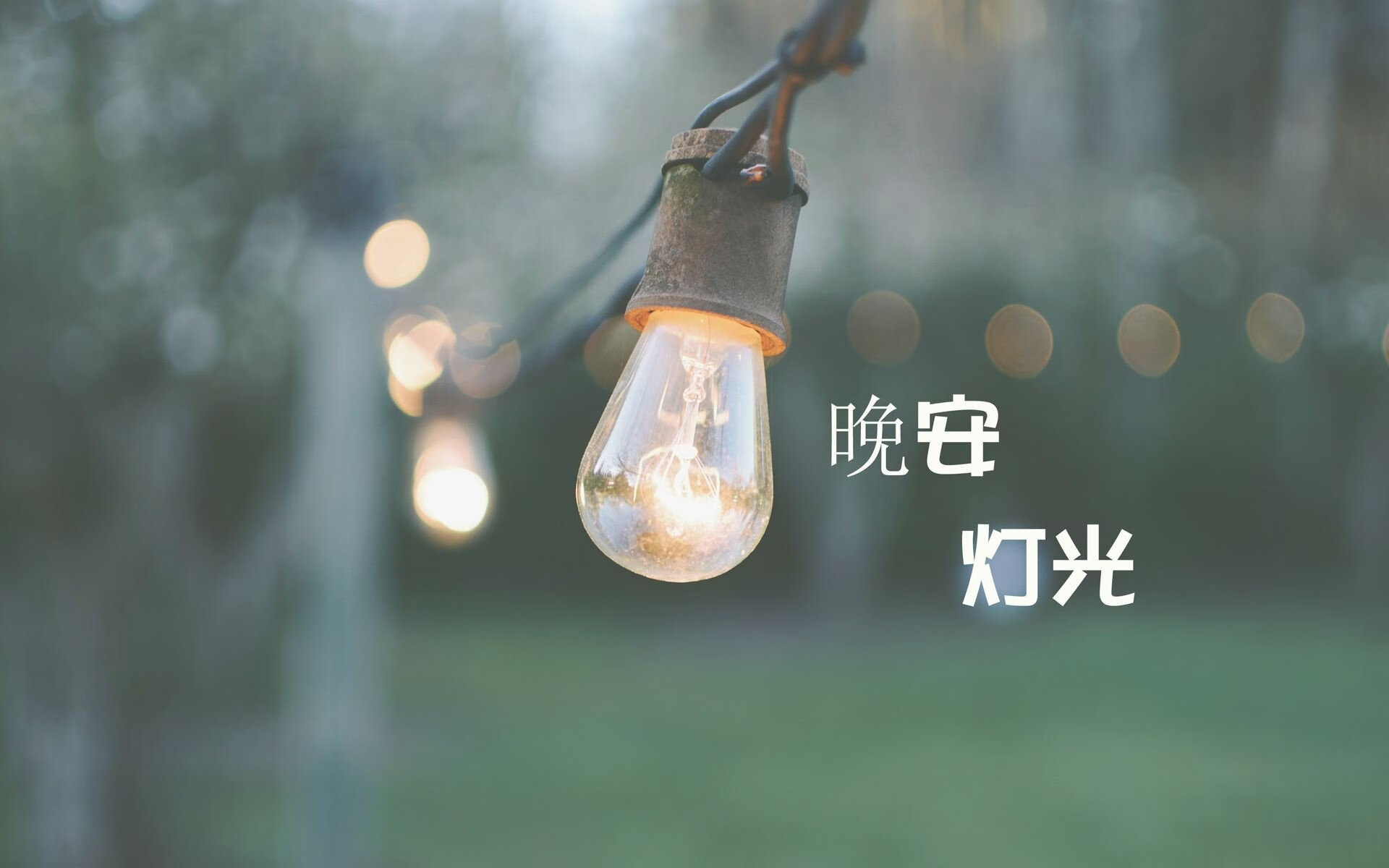 德国男子81公斤级举重选手在决赛中获得第九名，德国女子举重运动员