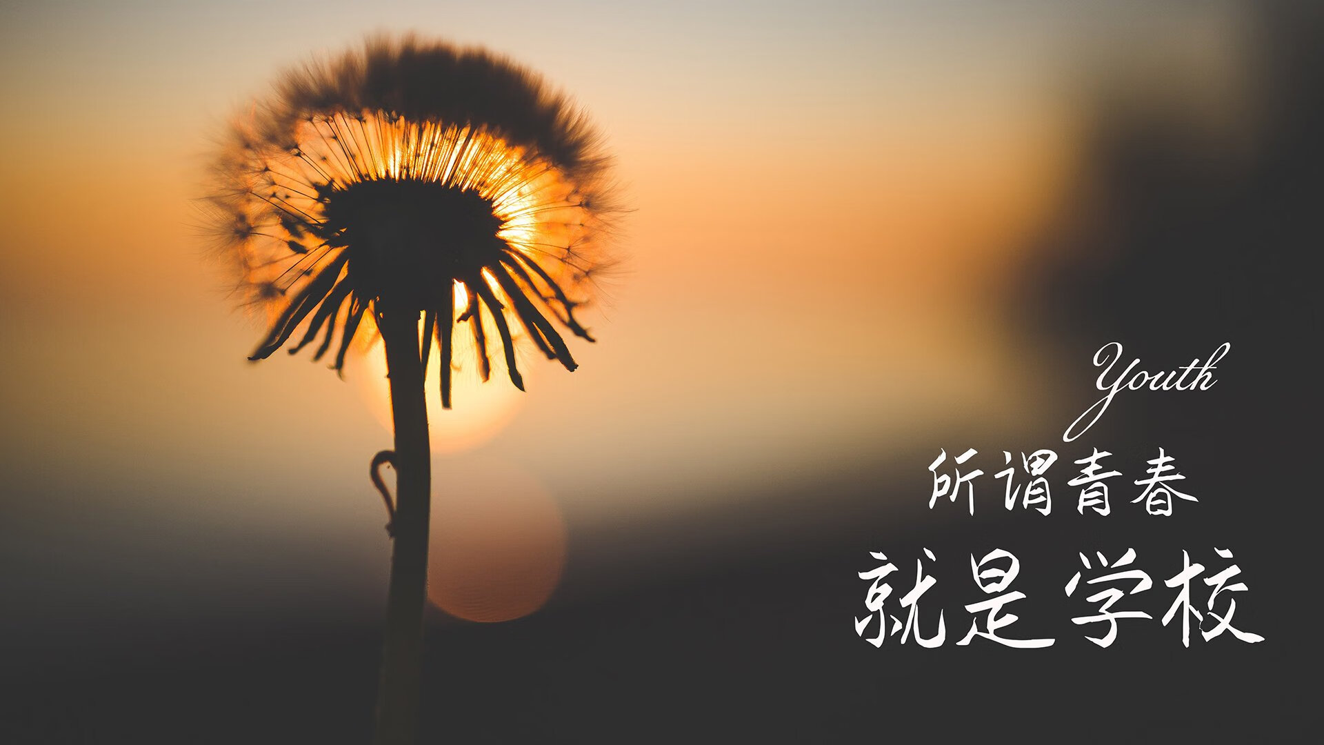 摩纳哥3-2里尔激战，戈麦斯和恩昆库双双建功，摩纳哥 里尔