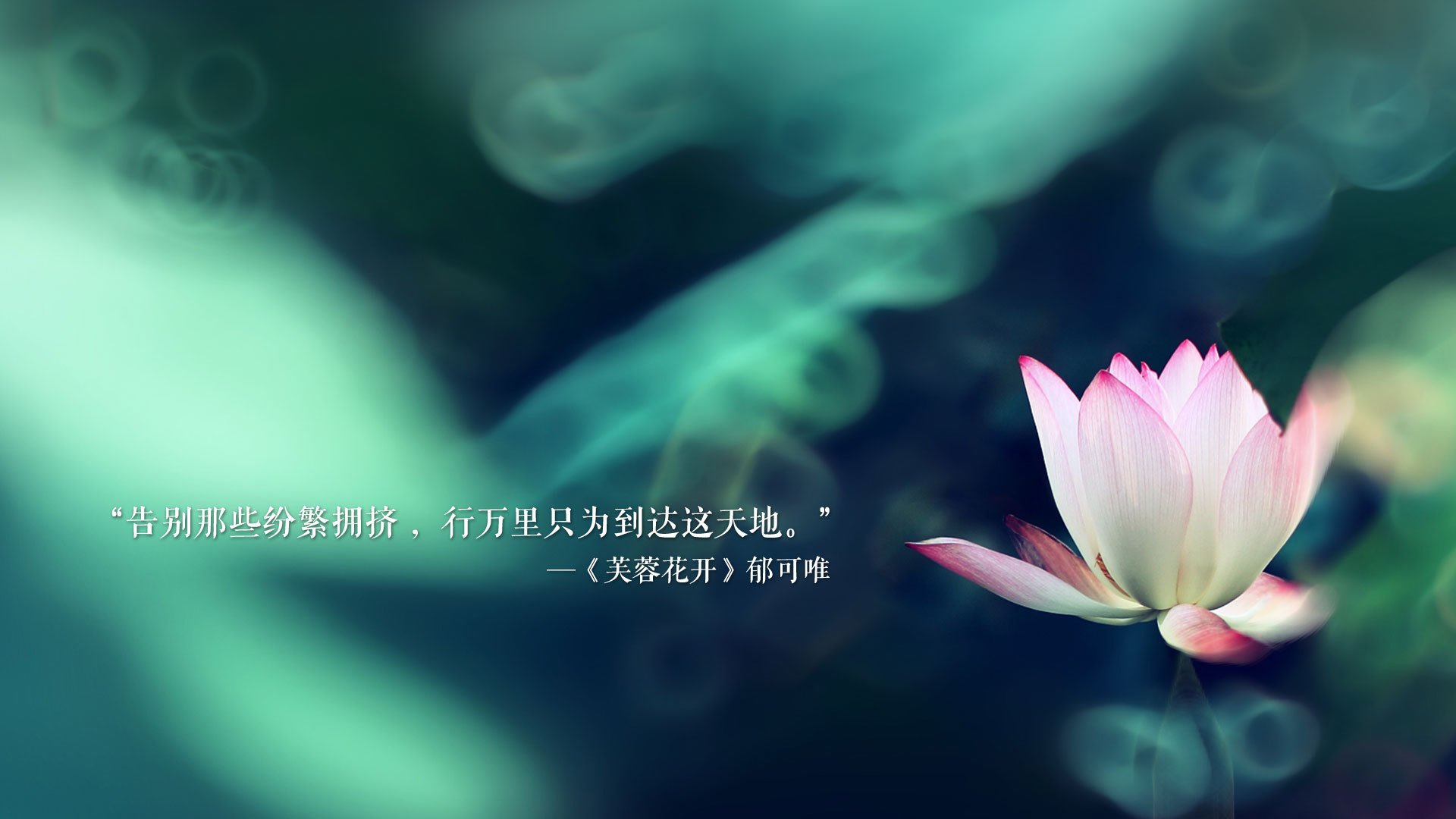 萌新崛起！王者荣耀天梯开启新星争霸赛，王者天梯赛是什么