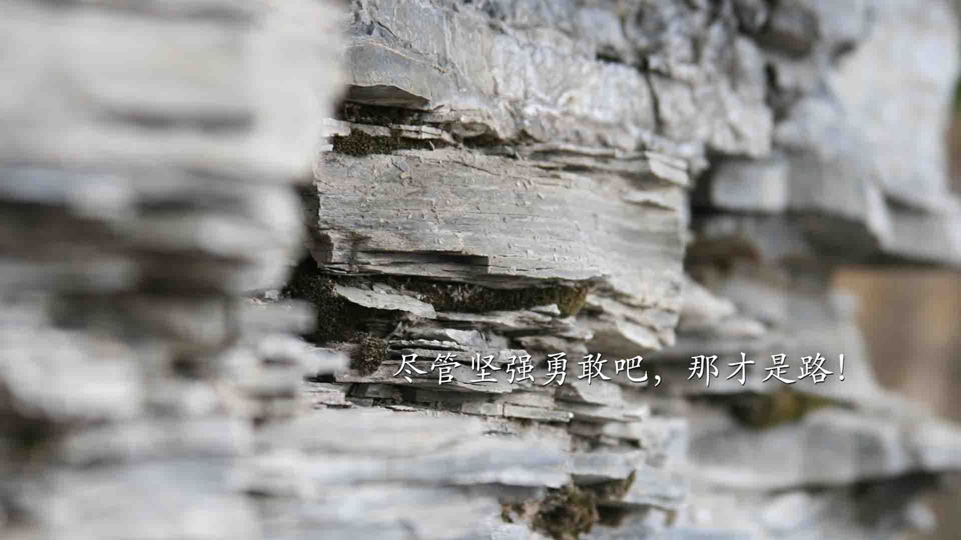 塞维利亚主场大胜，再次显露实力，塞维利亚又夺冠了
