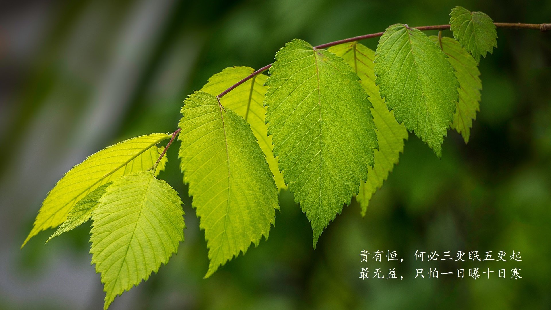 新闻中心落实质量安全标准，新闻报道质量提升方案