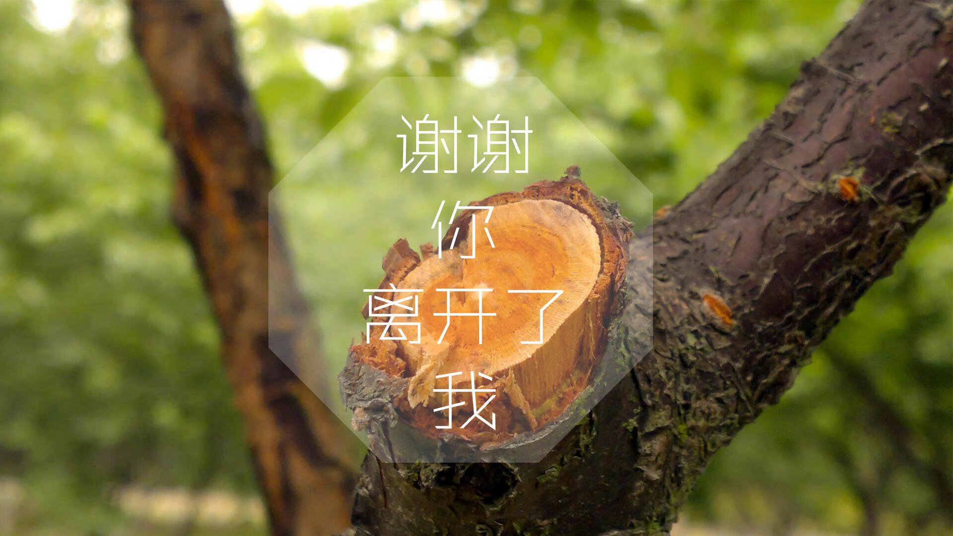 足球青训体系建设加快推进步伐，足球青训怎么运营