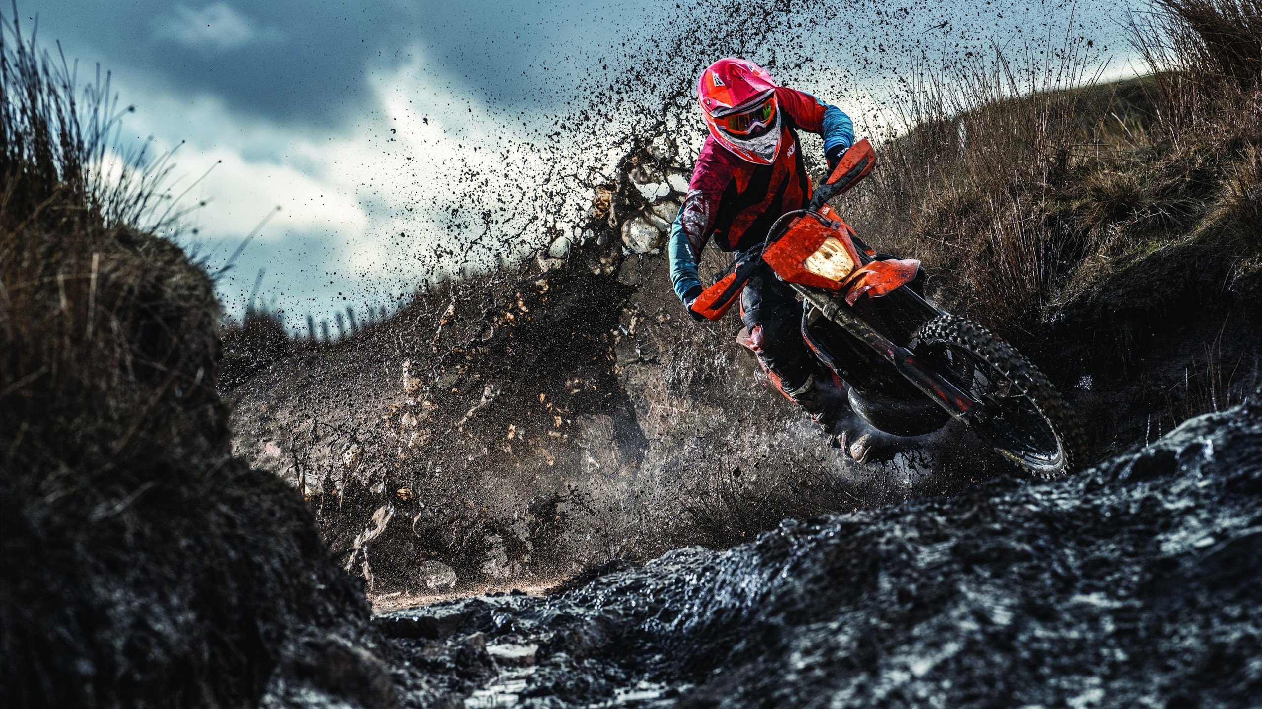 英超球迷狂热支持，爆满现场打Call，英超球迷网在线直播